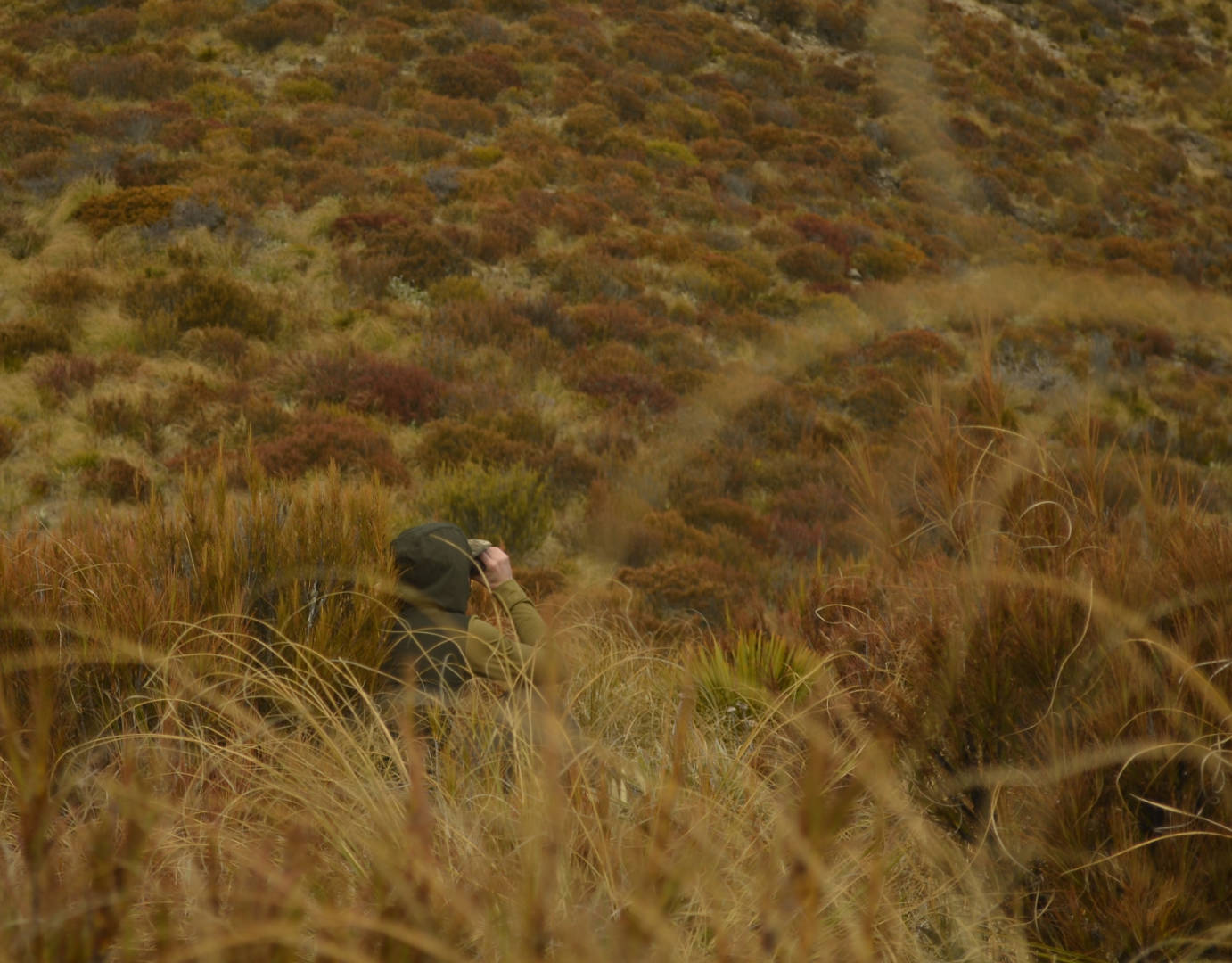 A hunter in a Beech Green hoodie concealed in alpine scrub while glassing.