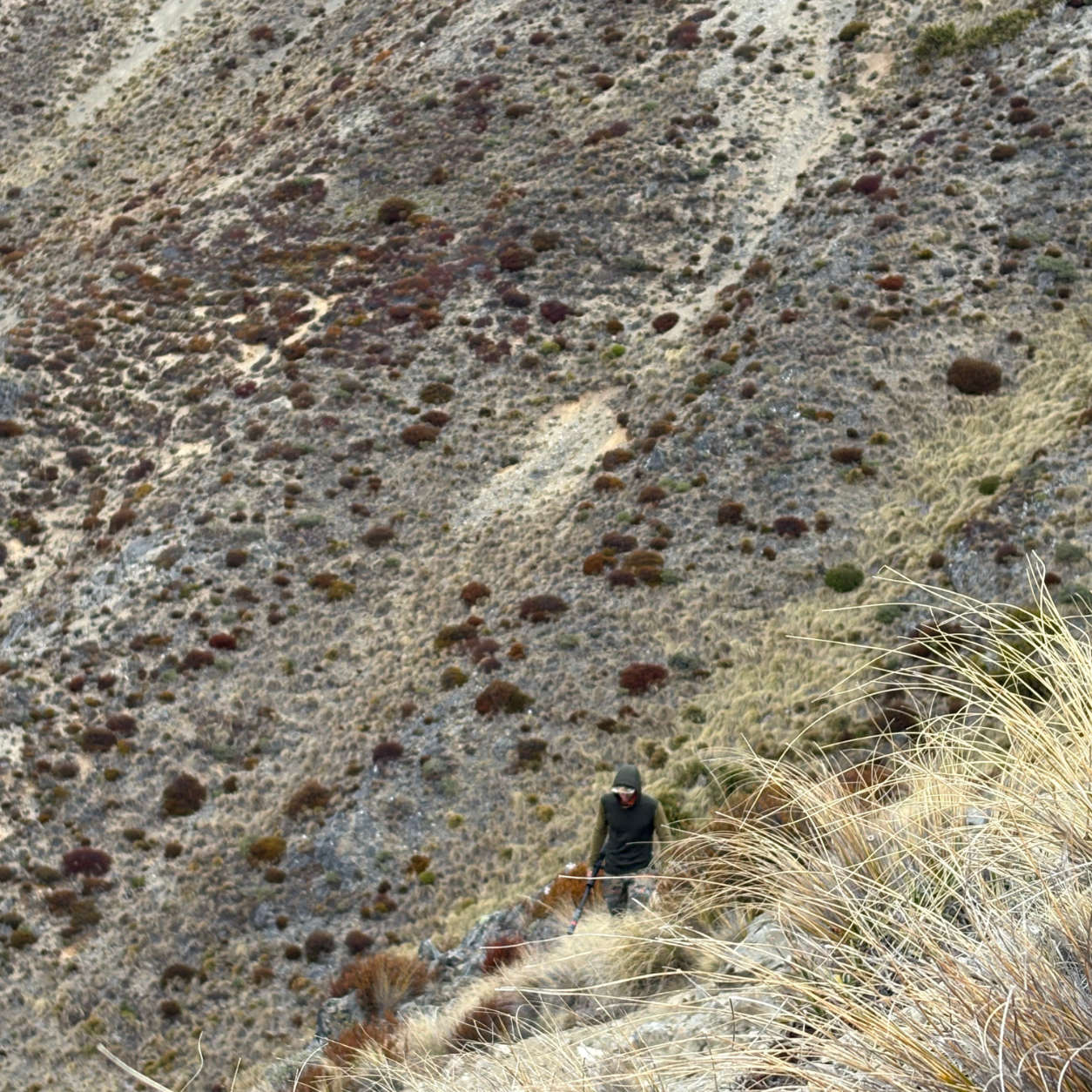 A hunter wearing a Wild Balance hoodie hiking up an alpine hillside.